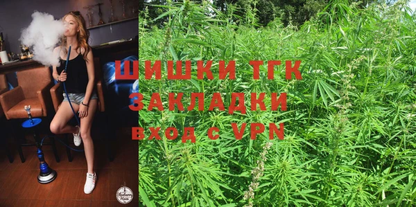 ГАЛЛЮЦИНОГЕННЫЕ ГРИБЫ Каменногорск