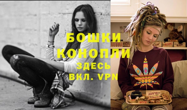 эйфоретик Инта